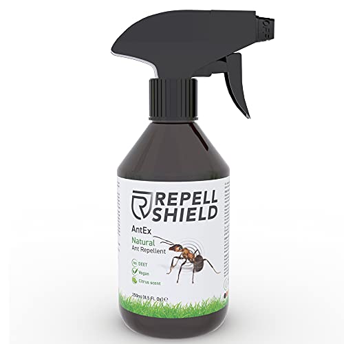 Repell Shield Spray Antihormigas Interior y Exterior para Cualquier Superficie - Propiedades Repelentes Naturales - Alternativa EcolÃ³gica al Veneno Insecticida (250ml)