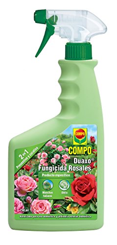 COMPO Duaxo Fungicida Rosales, Spray 2 en 1 preventivo y curativo, Apto para jardiner铆a exterior dom茅stica, 750 ml