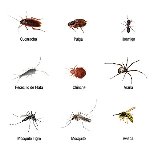 Insecticida Barrera de protecci贸n total, control de insectos voladores y rastreros, ideal para exteriores, interiores y textiles, Aerosol