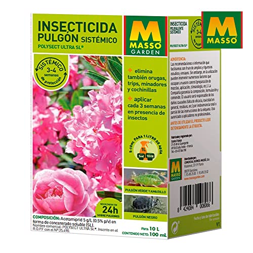 MASSO 06542 Insecticida Pulgón Sistémico, 100 Ml