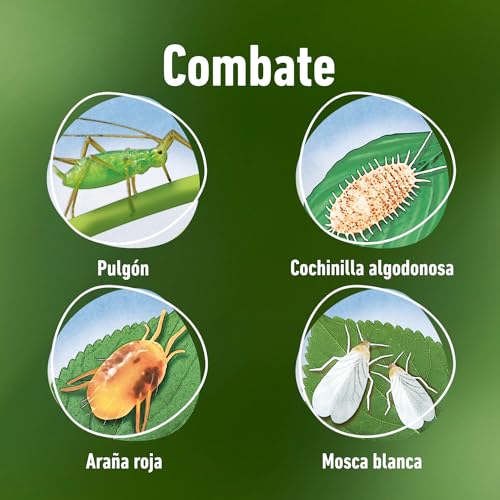 COMPO Bio Insecticida Stop Concentrado para hortÃ­colas y plantas aromÃ¡ticas, Apto para agricultura ecolÃ³gica, Control de plagas en hortalizas y plantas aromÃ¡ticas, 250 ml