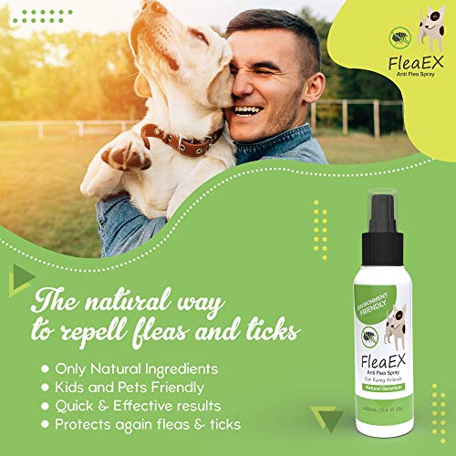 FleaEx Spray Repelente para Perros y Gatos - Anti Pulgas y Garrapatas, Alternativa Eco a Insecticida - Spray Antiparasitario Natural sin T贸xicos, 100ml